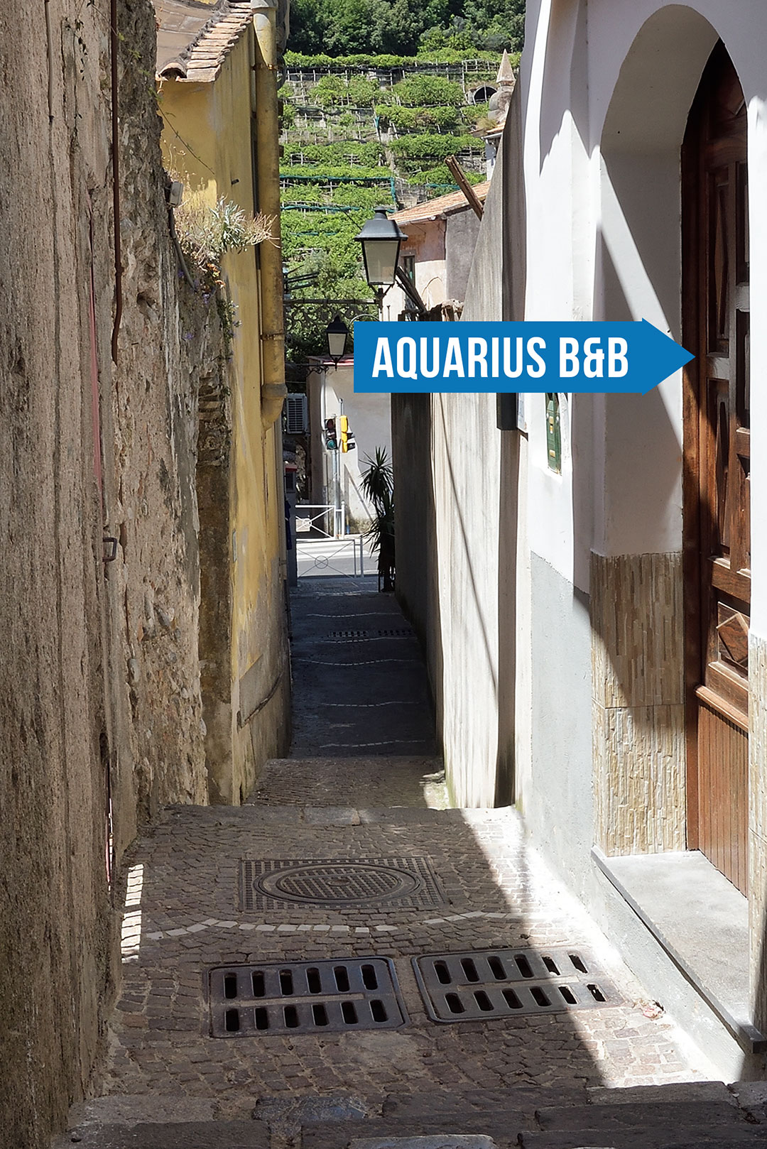 B&B Aquarius